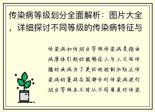 传染病等级划分全面解析：图片大全，详细探讨不同等级的传染病特征与应对策略